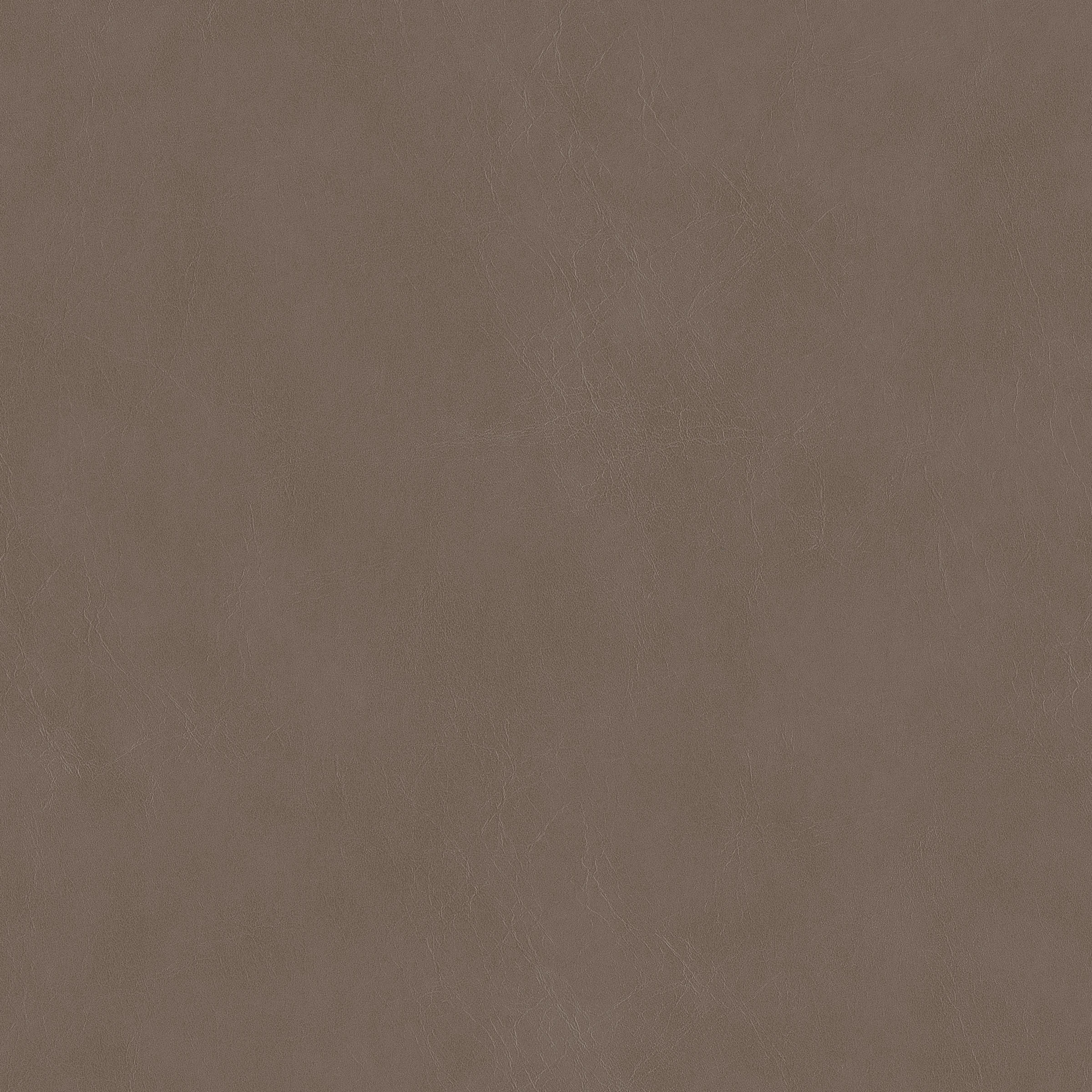 Origin Pull On - Taupe